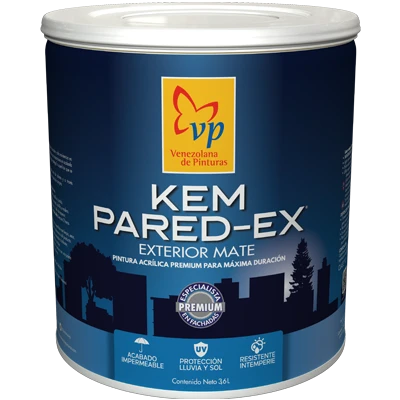 pintura-kem-pared-ex